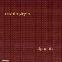 Nesini Söyleyim