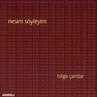 Nesini Söyleyim