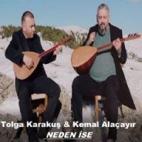 Neden İse