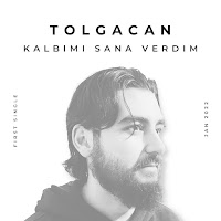 Kalbimi Sana Verdim