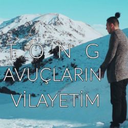Avuçların Vilayetim