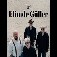 Elimde Güller