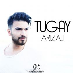 Arızalı