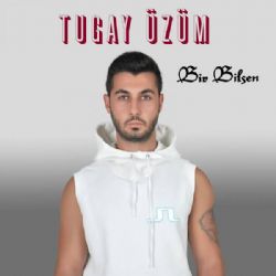 Bir Bilsen