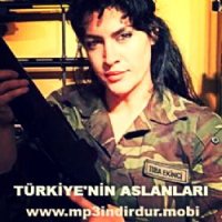 Türkiyenin Aslanları