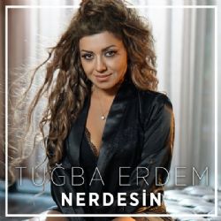 Nerdesin