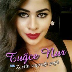 Zeytin Yaprağı Yeşil