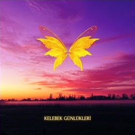 Kelebek Günlükleri