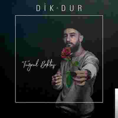 Dik Dur