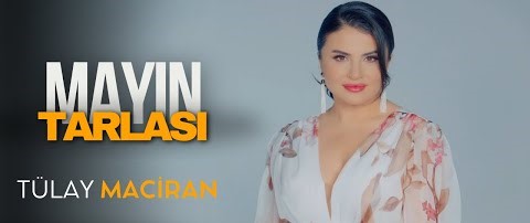 Mayın Tarlası
