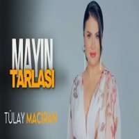 Mayın Tarlası