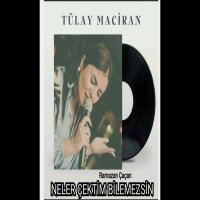 Neler Çektim Bilemezsin