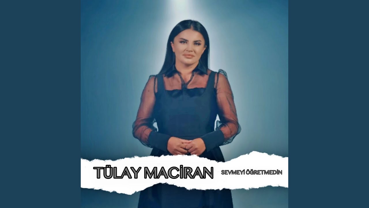 Sevmeyi Öğretmedin