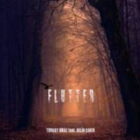 Flutter