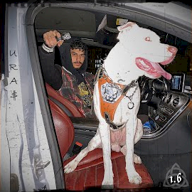 1 6