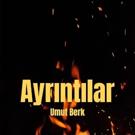 Ayrıntılar