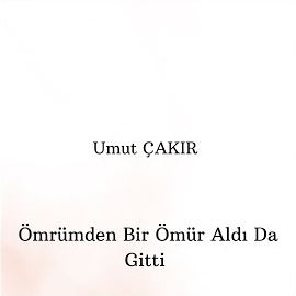 Ömrümden Bir Ömür Aldı Da Gitti