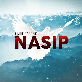 Nasip