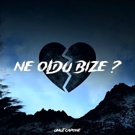 Ne Oldu Bize
