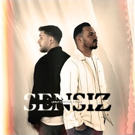 Sensiz