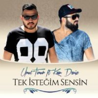 Tek İsteğim Sensin