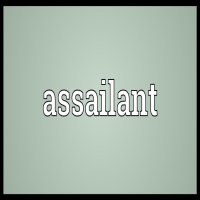 Assailant