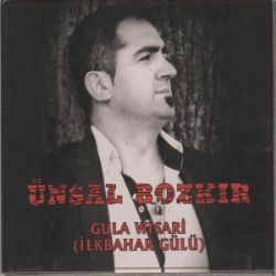 İlkbahar Gülü