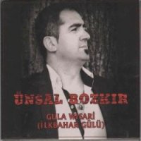 İlkbahar Gülü