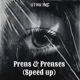 Prens, Prenses