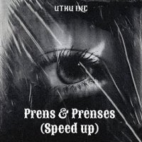 Prens, Prenses