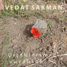 Çiçeklerimizi Vurdular