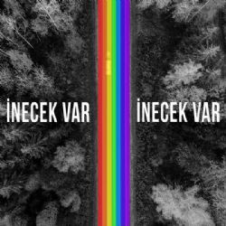 İnecek Var