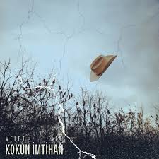 Kokun İmtihan