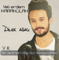 Dilek Ağacı