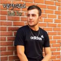 Hadi Vur