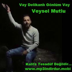Vay Delikanlı Gönlüm