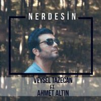 Nerdesin