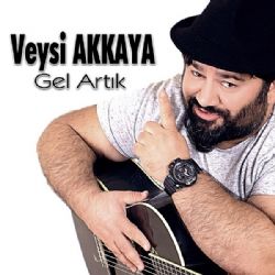 Gel Artık