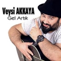 Gel Artık