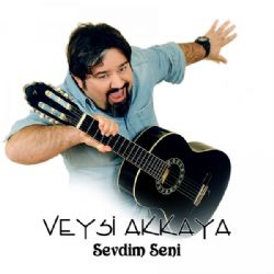 Sevdim Seni