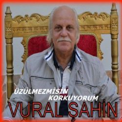 Üzülmezmisin