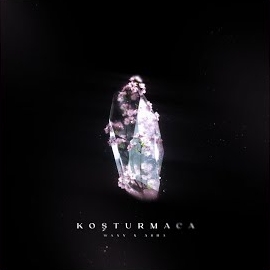 Koşturmaca