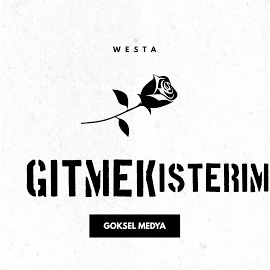 Gitmek İsterim