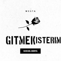 Gitmek İsterim