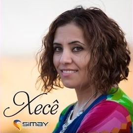Xece Canlı Performan