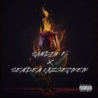 Sandım Ki x Senden Vazgeçmem