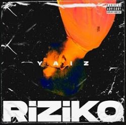Riziko