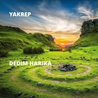 Dedim Harika