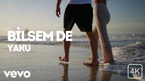 Bilsem de