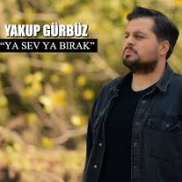 Ya Sev Ya Bırak